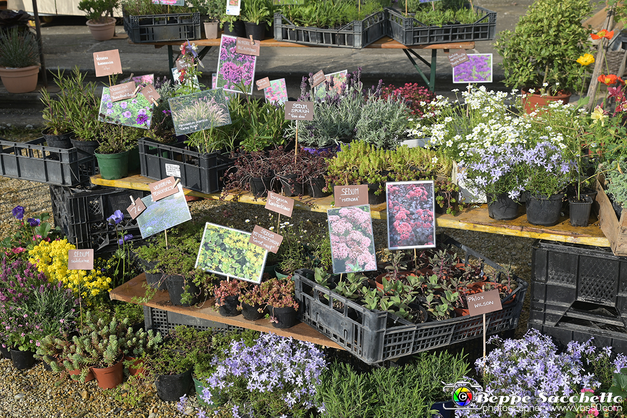 VBS_8953 - Mostra Mercato FloReal 2024.jpg
